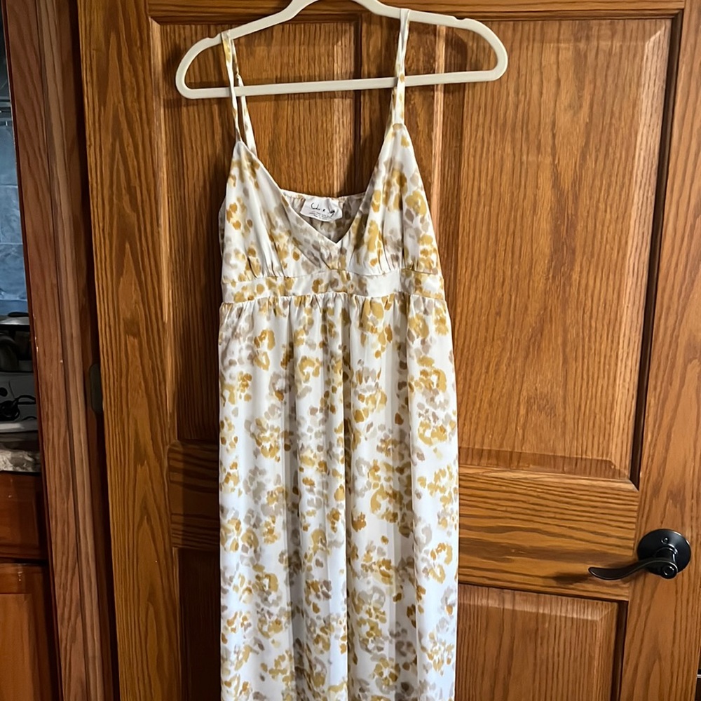 Sadie & Sage Maxi Dress